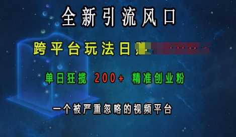 全新引流风口，跨平台玩法日入上k，单日狂揽200+精准创业粉，一个被严重忽略的视频平台-928网创