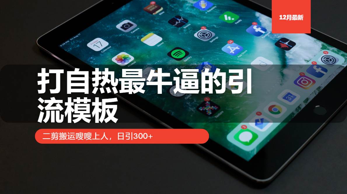 （13654期）打自热最牛逼的引流模板，二剪搬运嗖嗖上人，日引300+-928网创