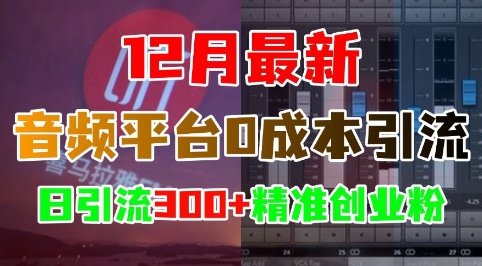 12月最新：音频平台0成本引流，日引流300+精准创业粉-928网创