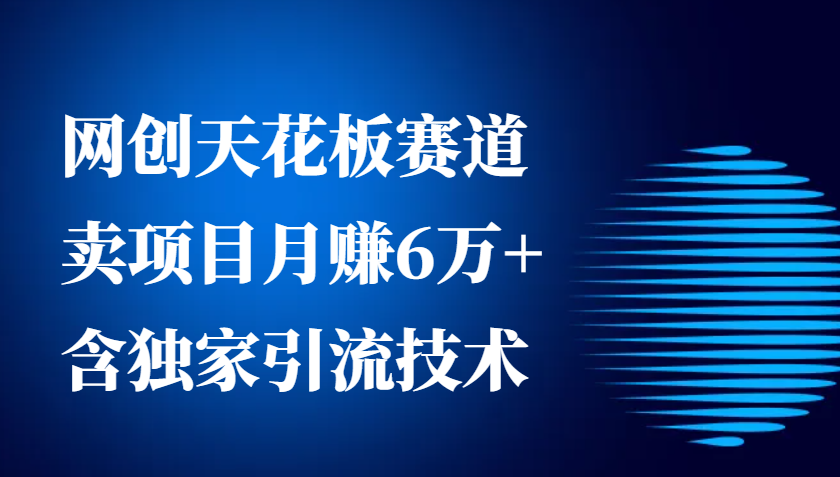 网创天花板赛道，卖项目月赚6万+，含独家引流技术（共26节课）-928网创