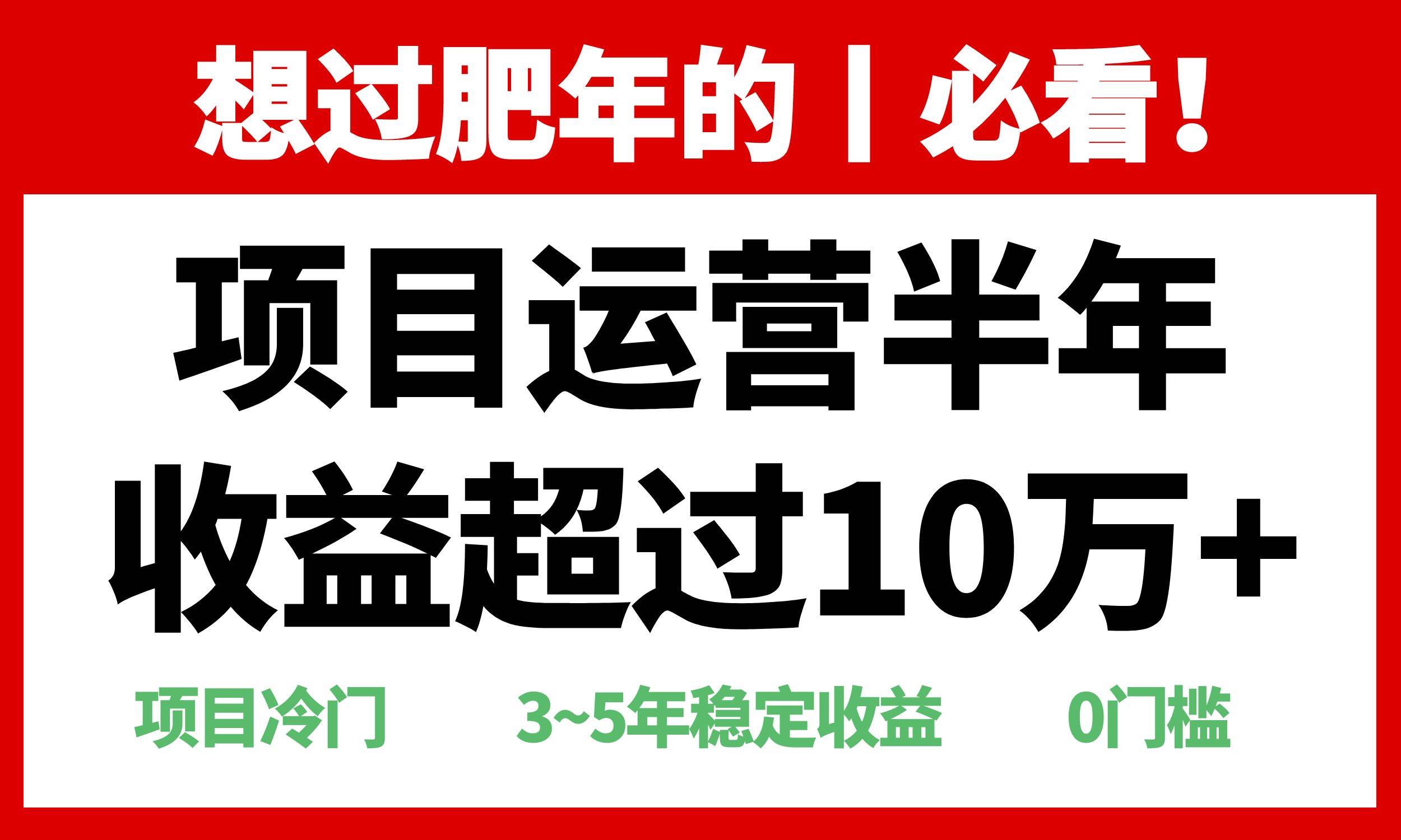 （13663期）年前过肥年的必看的超冷门项目，半年收益超过10万+，-928网创