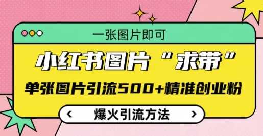 小红书图片‘求带’爆火引流法，单张图片引流500+精准创业粉【揭秘】-928网创