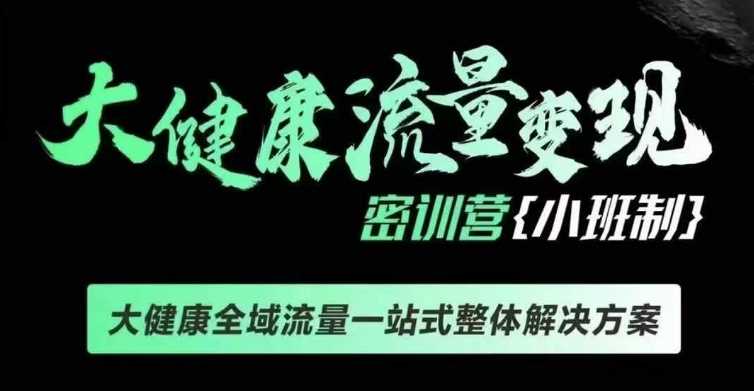 千万级大健康变现课线下课，大健康全域流量一站式整体解决方案-928网创