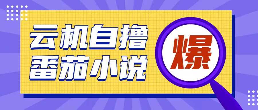首发云手机自撸小说玩法，10块钱成本可撸200+收益操作简单【揭秘】-928网创