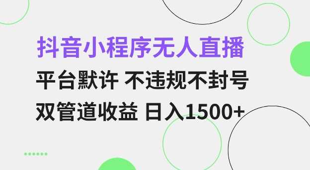 抖音小程序无人直播 平台默许 不违规不封号 双管道收益 日入多张 小白也能轻松操作【仅揭秘】-928网创