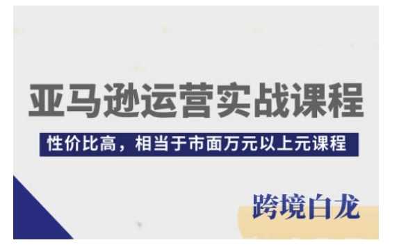 亚马逊运营实战课程，亚马逊从入门到精通，性价比高，相当于市面万元以上元课程-928网创