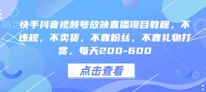 快手抖音视频号放映直播项目教程，不违规，不卖货，不靠粉丝，不靠礼物打赏，每天200-600-928网创