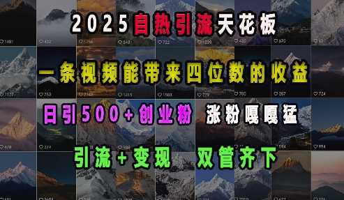 2025自热引流天花板，一条视频能带来四位数的收益，引流+变现双管齐下，日引500+创业粉，涨粉嘎嘎猛-928网创