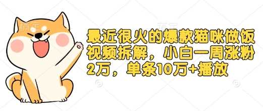 最近很火的爆款猫咪做饭视频拆解，小白一周涨粉2万，单条10万+播放(附保姆级教程)-928网创