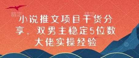 小说推文项目干货分享，双男主稳定5位数大佬实操经验-928网创