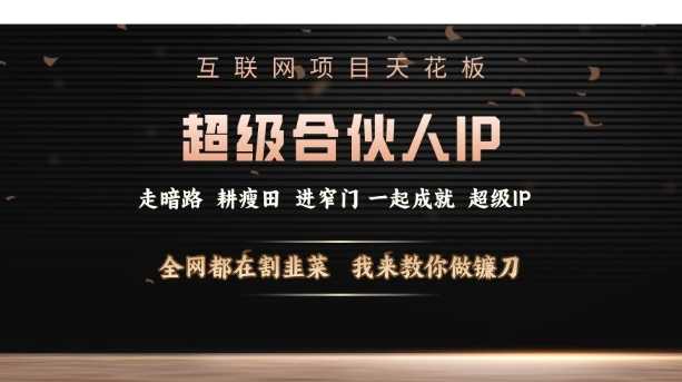 互联网项目天花板，超级合伙人IP，全网都在割韭菜，我来教你做镰刀【仅揭秘】-928网创