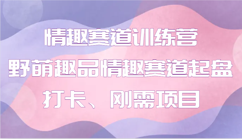 情趣赛道训练营 野萌趣品情趣赛道起盘打卡、刚需项目-928网创