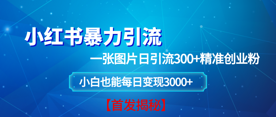 （13935期）小红书暴力引流法，一张图片日引 300+精准创业粉，每日稳定变现 3000+【揭秘】-928网创