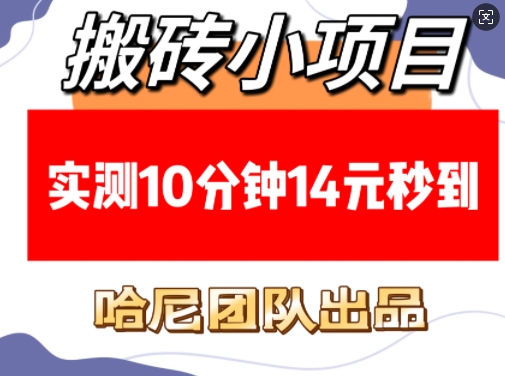 搬砖小项目，实测10分钟14元秒到，每天稳定几张(赠送必看稳定)-928网创