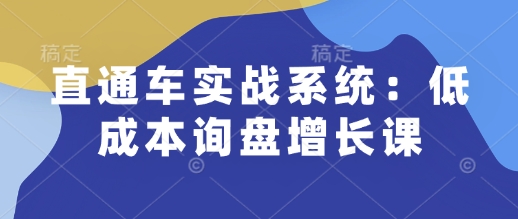 直通车实战系统：低成本询盘增长课，让个人通过技能实现升职加薪，让企业低成本获客，订单源源不断-928网创