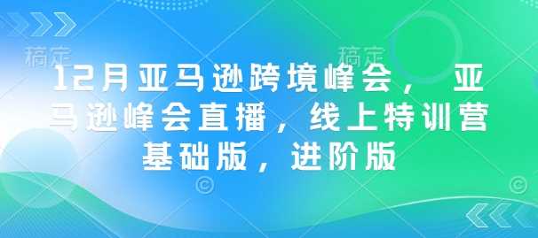 12月亚马逊跨境峰会， 亚马逊峰会直播，线上特训营基础版，进阶版-928网创