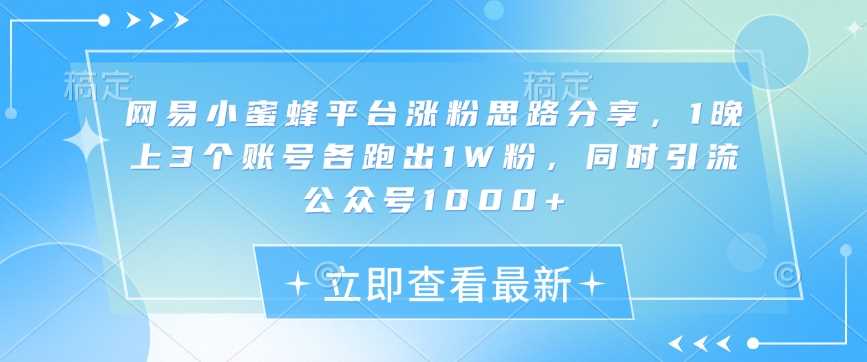 网易小蜜蜂平台涨粉思路分享，1晚上3个账号各跑出1W粉，同时引流公众号1000+-928网创