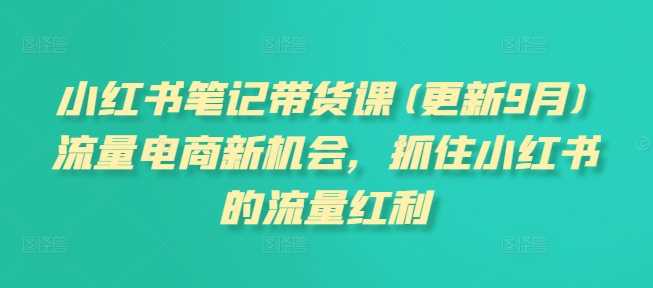 小红书笔记带货课(更新25年1月)流量电商新机会，抓住小红书的流量红利-928网创