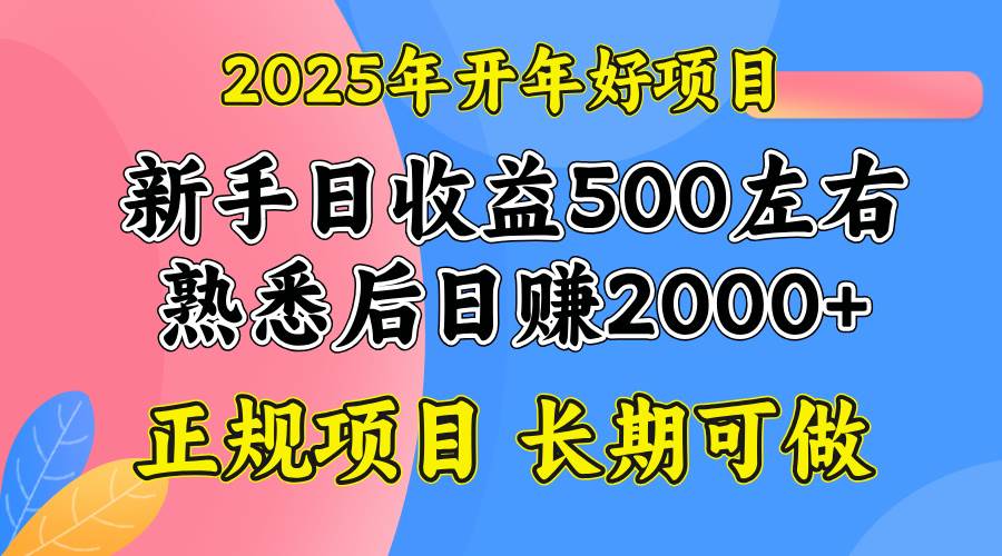 （14076期）2025开年好项目，单号日收益2000左右-928网创