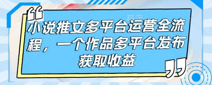 小说推文多平台运营全流程，一个作品多平台发布获取收益-928网创
