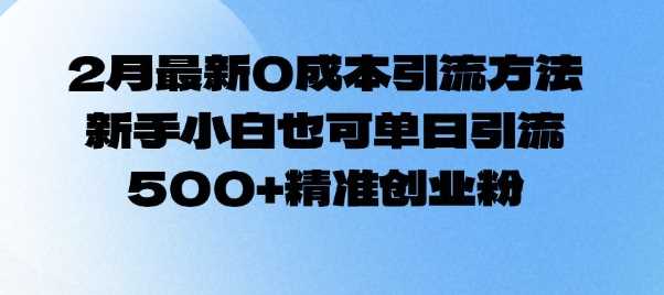 2月最新0成本引流方法，新手小白也可单日引流500+精准创业粉-928网创