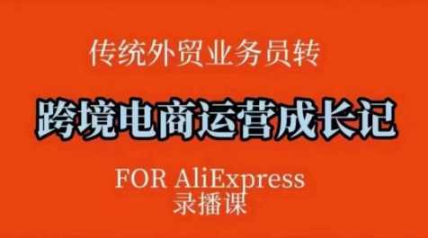 跨境电商速卖通运营课，​运营方法论+后台实操，逻辑清晰-928网创