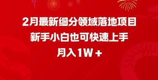 2月最新细分领域落地项目，新手小白也可快速上手，月入1W-928网创