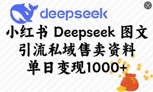 小红书Deepseek图文引流私域售卖资料，单日变现多张-928网创