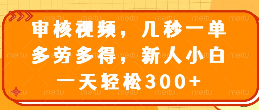 （14294期）审核视频，几秒一单，多劳多得，新人小白一天轻松300+-928网创