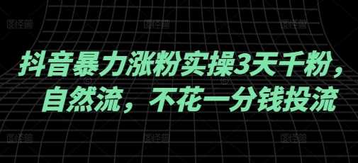 抖音暴力涨粉实操3天千粉，自然流，不花一分钱投流，实操经验分享-928网创