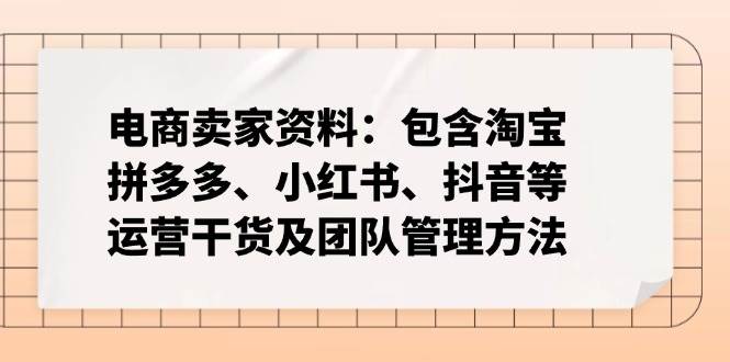 （14354期）电商卖家资料：包含淘宝、拼多多、小红书、抖音等运营干货及团队管理方法-928网创