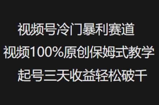 视频号冷门暴利赛道视频100%原创保姆式教学起号三天收益轻松破千-928网创