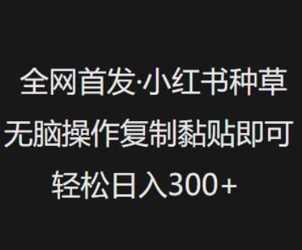 全网首发，小红书种草无脑操作，复制黏贴即可，轻松日入3张-928网创