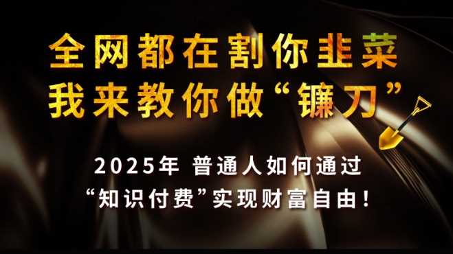 全网都在割你韭菜，我来教你做镰刀,2025普通人如何通过知识付费，实现财F自由【揭秘】-928网创