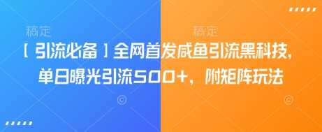 【引流必备】全网首发咸鱼引流黑科技，单日曝光引流500+，附矩阵玩法【揭秘】-928网创