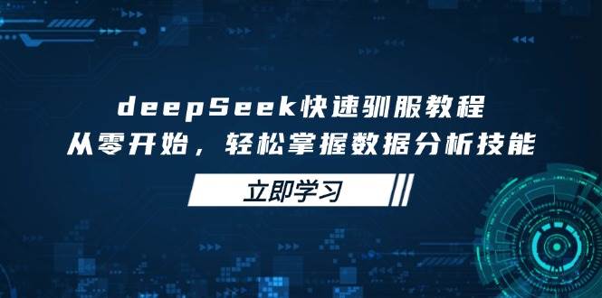 （14536期）deepSeek快速驯服教程，从零开始，轻松掌握数据分析技能-928网创